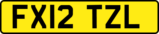 FX12TZL