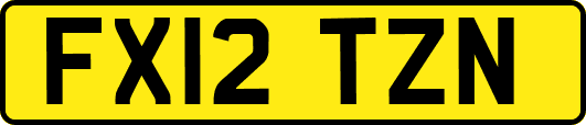 FX12TZN