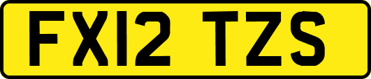 FX12TZS