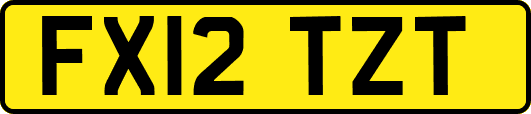 FX12TZT