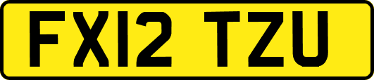 FX12TZU