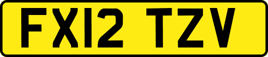 FX12TZV