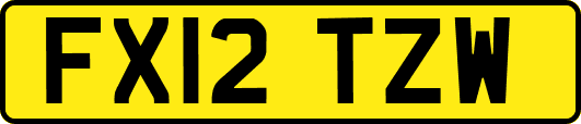 FX12TZW