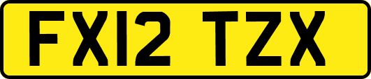 FX12TZX