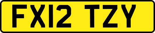 FX12TZY