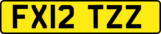 FX12TZZ