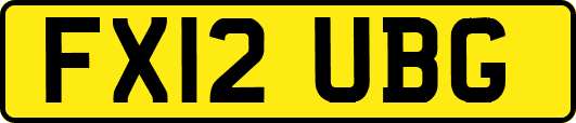 FX12UBG