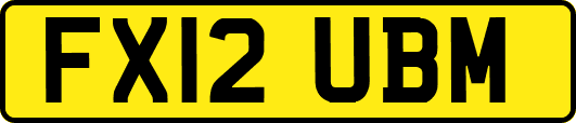 FX12UBM