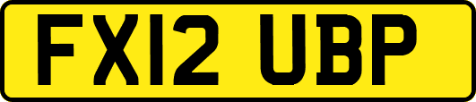 FX12UBP