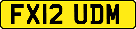 FX12UDM