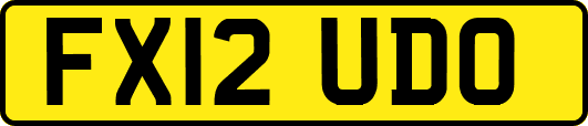 FX12UDO