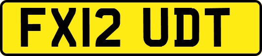 FX12UDT
