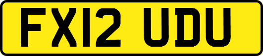 FX12UDU