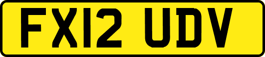 FX12UDV