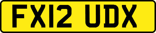 FX12UDX