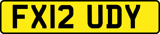 FX12UDY