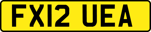 FX12UEA