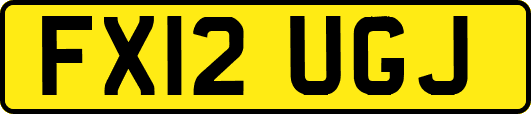 FX12UGJ