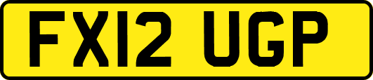 FX12UGP