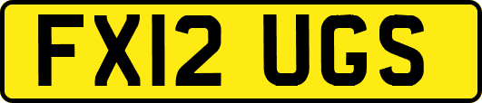 FX12UGS