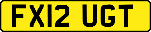 FX12UGT
