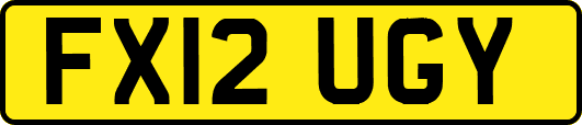 FX12UGY