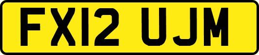 FX12UJM