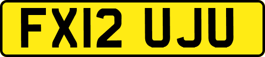 FX12UJU