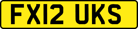 FX12UKS