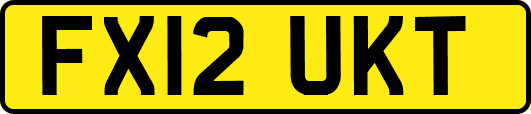 FX12UKT