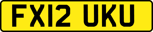 FX12UKU