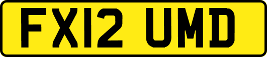 FX12UMD