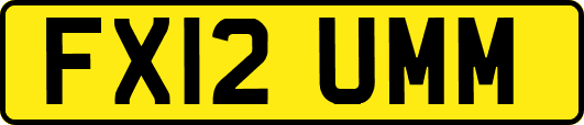 FX12UMM