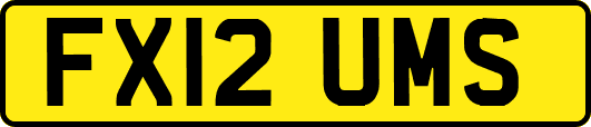 FX12UMS