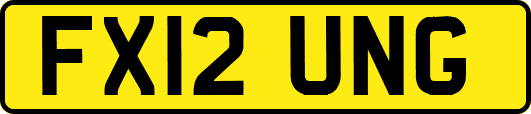 FX12UNG