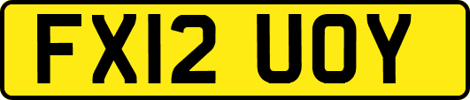 FX12UOY