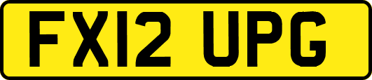 FX12UPG