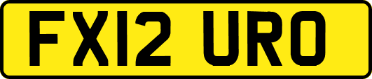 FX12URO