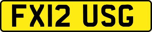 FX12USG