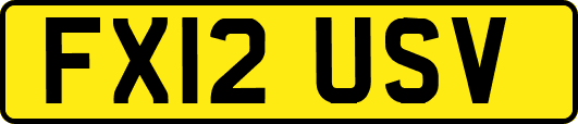 FX12USV