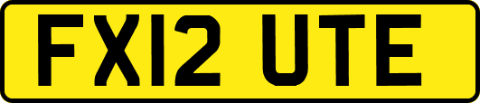 FX12UTE
