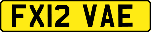 FX12VAE