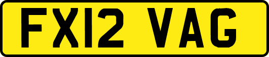 FX12VAG