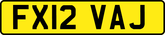 FX12VAJ