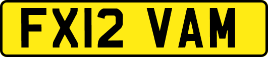 FX12VAM