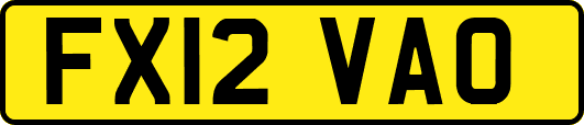 FX12VAO