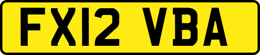 FX12VBA