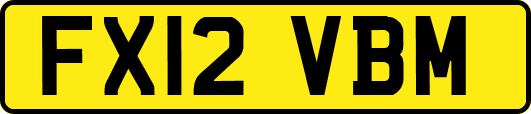 FX12VBM