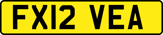 FX12VEA