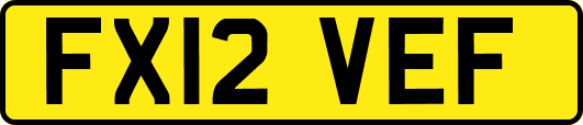 FX12VEF